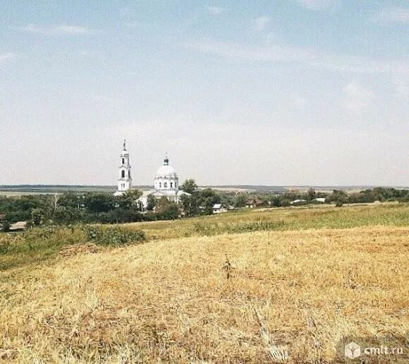 Никольское Воронежская область. Село Никольское Воронежская область. Никольское Воронежская область Аннинский район население. Красивые места Аннинского района Воронежской области. Никольское аннинского района воронежской области