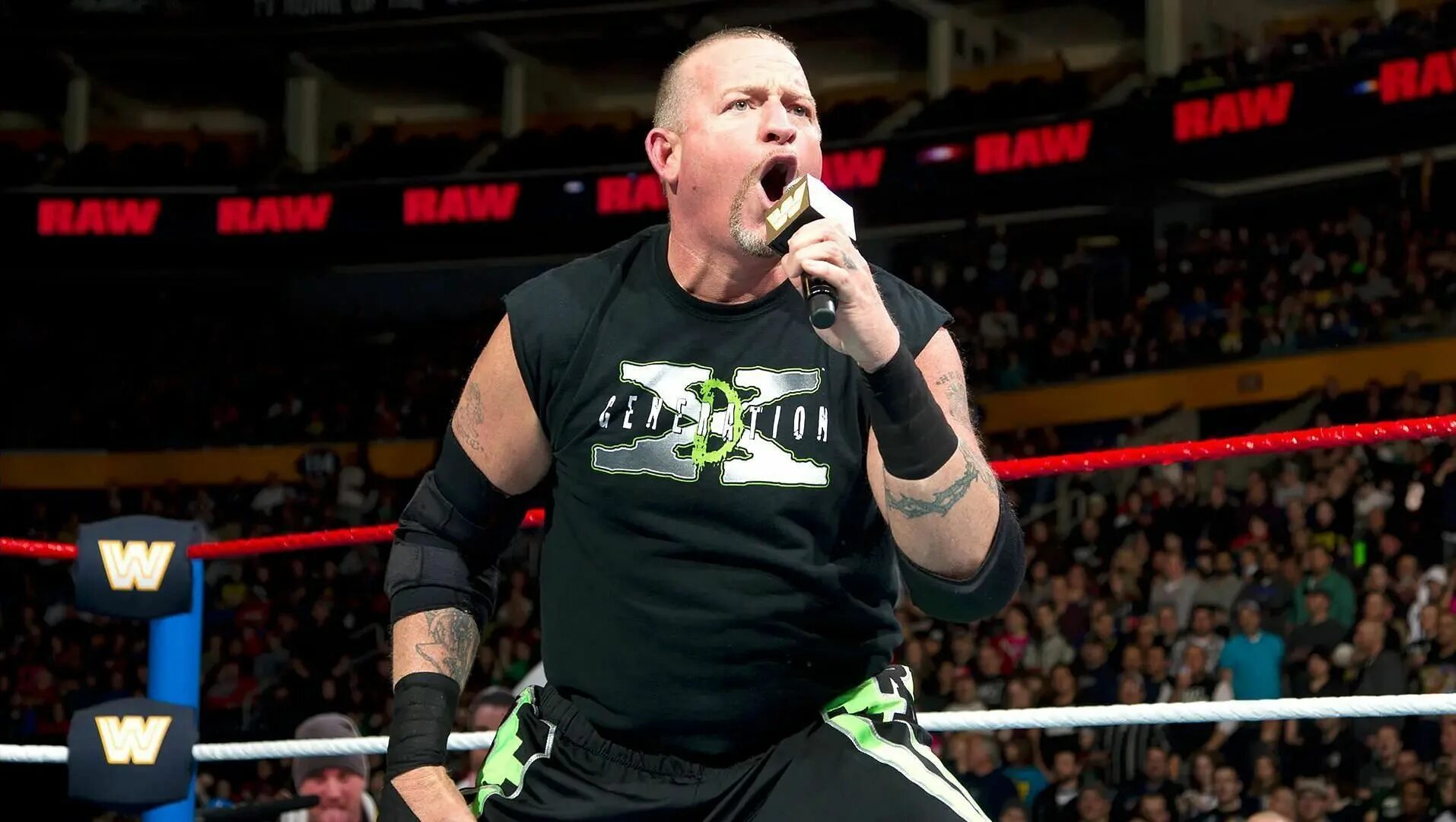 Road Dogg. Dogg WWE. Road Dog Рестлер. WWE Road Dogg James. James road