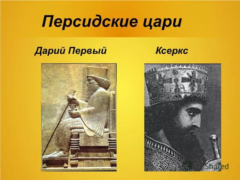 В каком государстве правил дарий первый