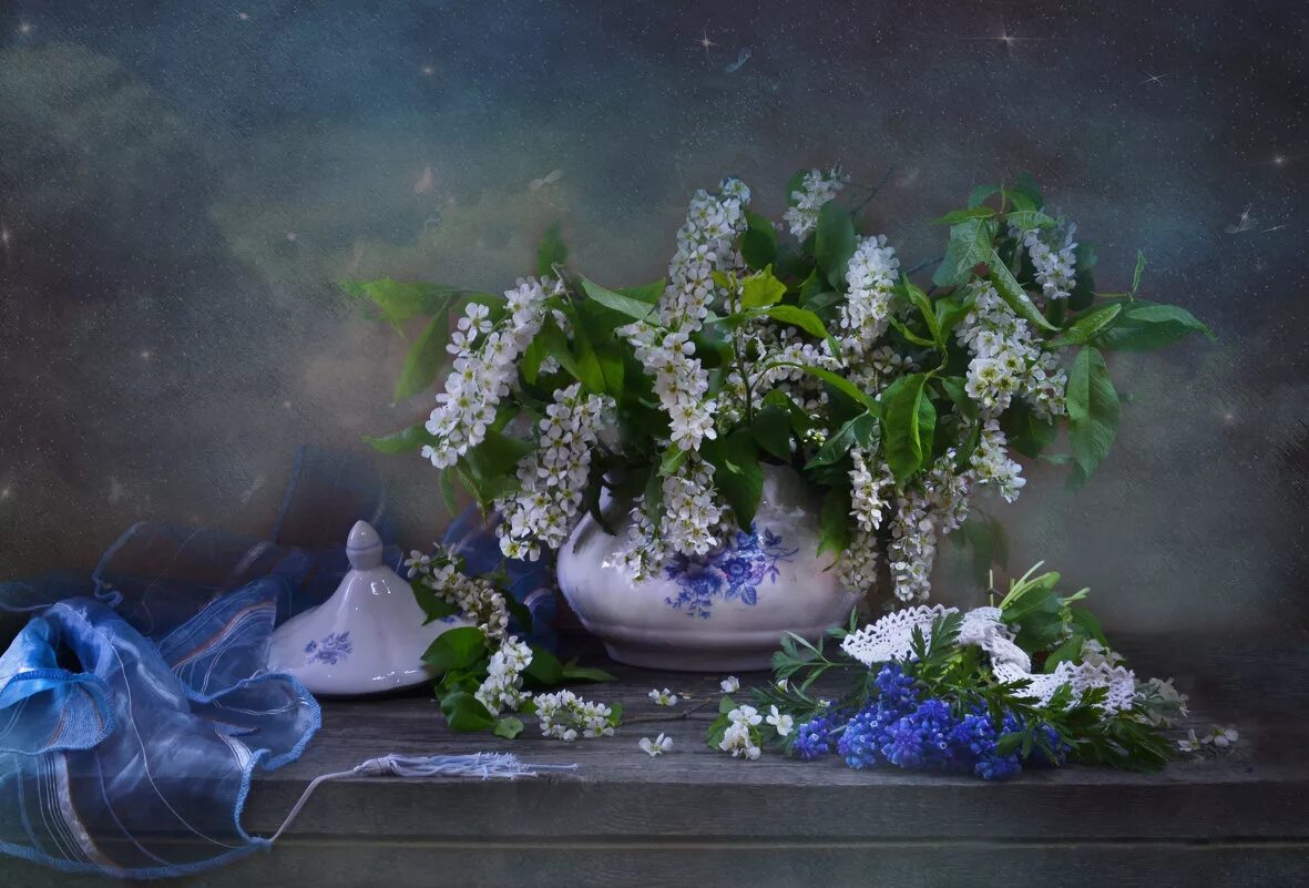 черёмуха душистая дерево. зимой на сонной черемухе часто гостили. ветка черемухи. зимой на сонной черемухе часто гостили.