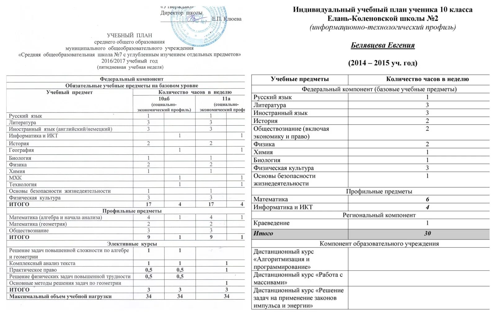 Индивидуальное обучение рабочие программы 9 класс
