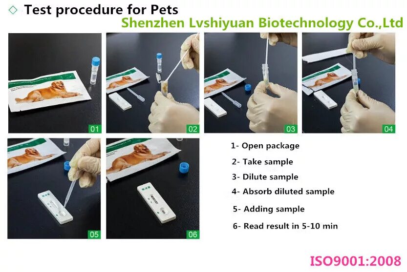 Procedure Test. Parvovirus собак Test. Экспресс тесты Parvo. Test procedure Test procedure.