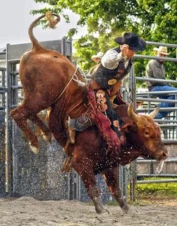 Bull riding