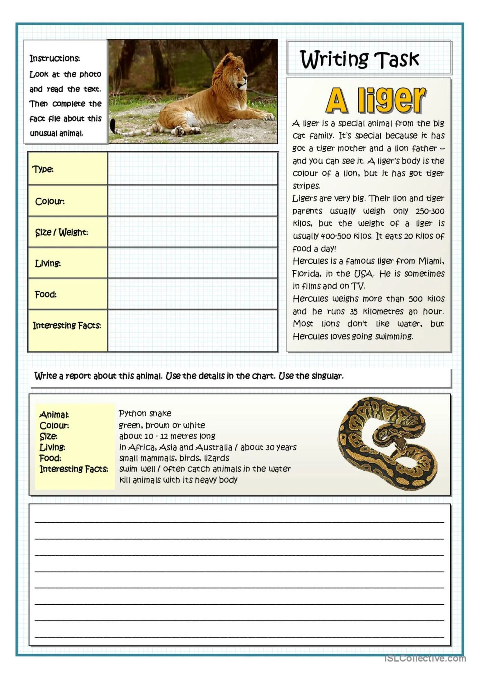 Wild animals as pets essay. Описание животных Worksheets. Text about animals for Kids. Reading about animals for Kids. Reading text with tasks.