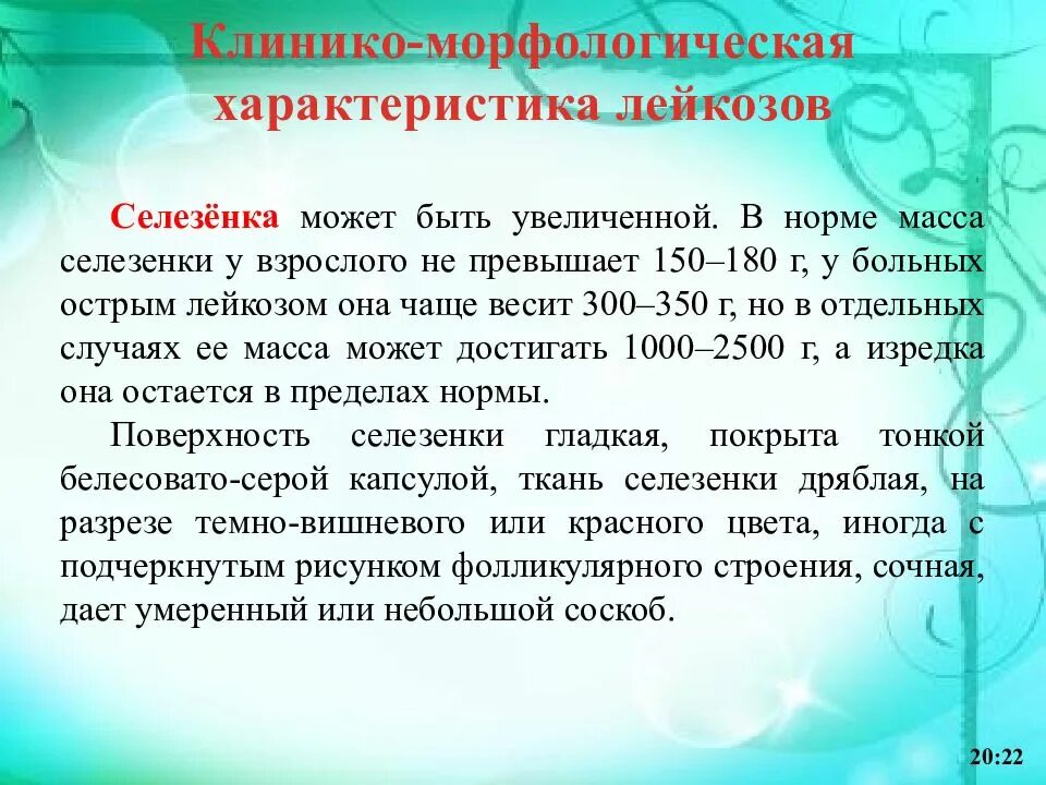 Селезенка размеры норма у взрослых. Морфологическая характеристика лейкозов. норма селезенки у взрослого. клинико-морфологическая характеристика это.