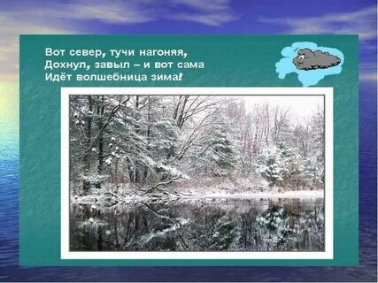 Туча северный