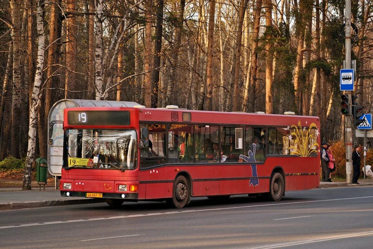 Бесплатные автобусы пермь. Пермские автобусы. 1 Автобус Пермь. Городские автобусы Пермь. Автобусы города Пермь фот.