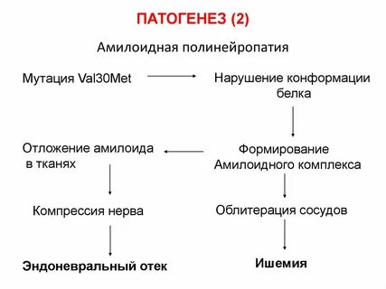 Транстиретиновый амилоидоз