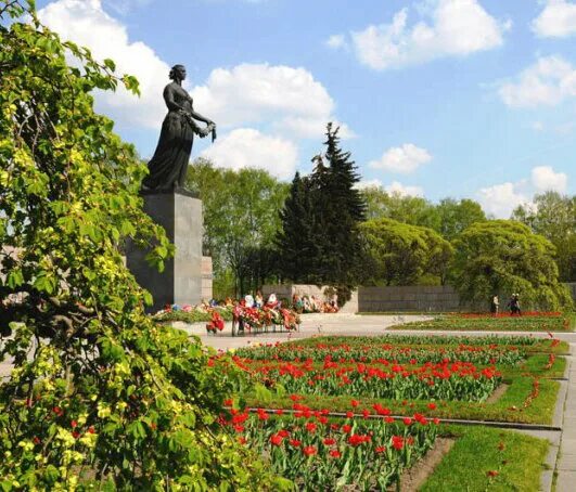 Пискаревский парк санкт петербург пискаревский парк фото ЖК "ул Замшина, 62" купить квартиру во вторичке по ценам от застройщиков Санкт