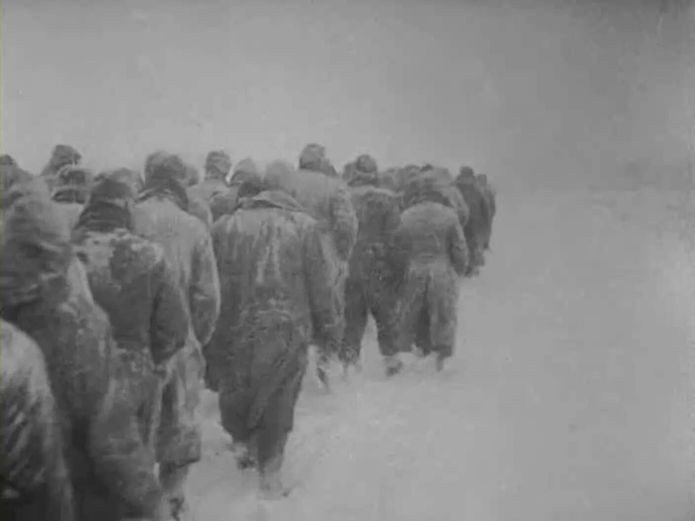 Корсунь-шевченковская операция 1944. Карта корсунь шевченковская операция 1944 года. Понтонный парк вов 1941-1945. Сталинград на днепре. Корсунь-шевченковская операция немцы.