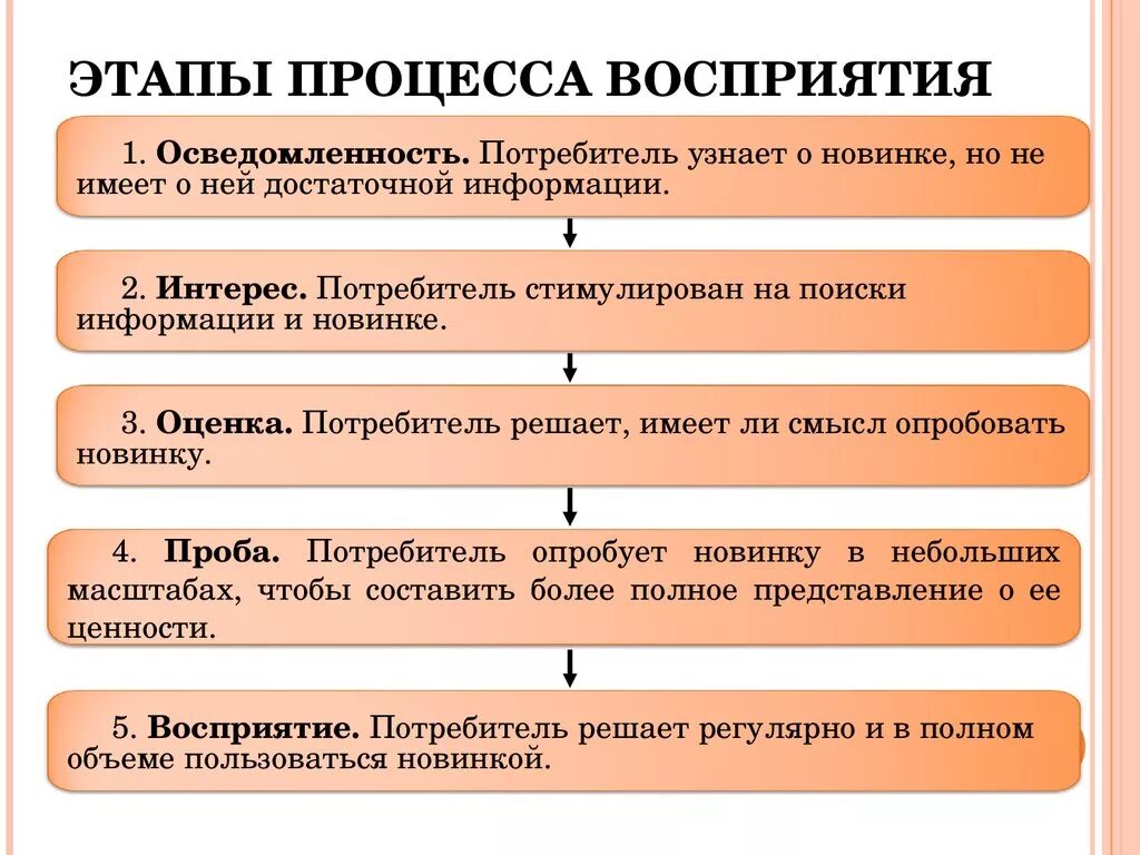 Процесс восприятия человека включает в себя