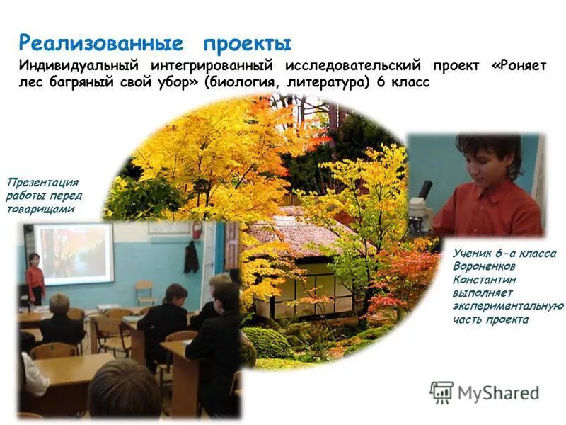 роняет лес багряный свой убор падежи