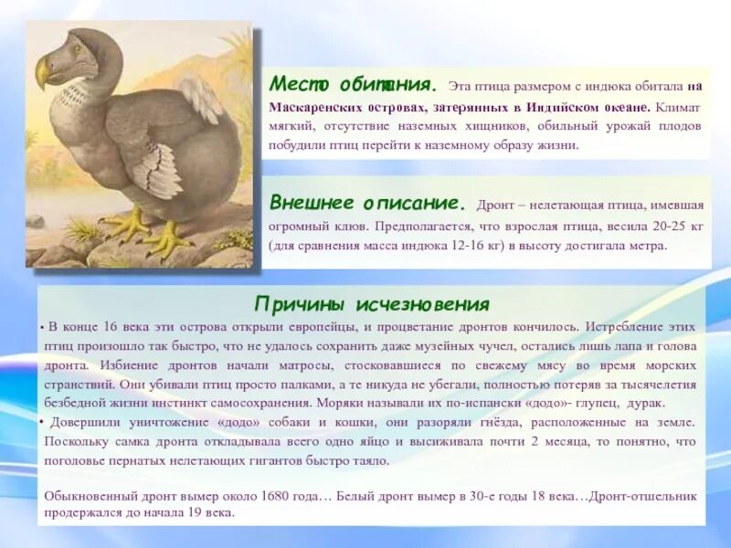 Почему вымерли додо