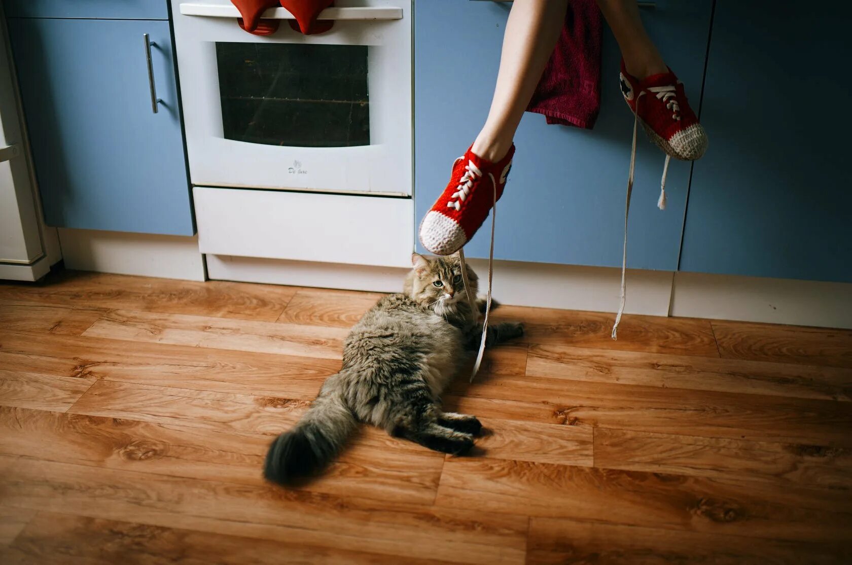 Cats kitchen. Кот на кухне. Кошачья кухня. Прикольные кошаки на кухне. Кот на кухонном столе.