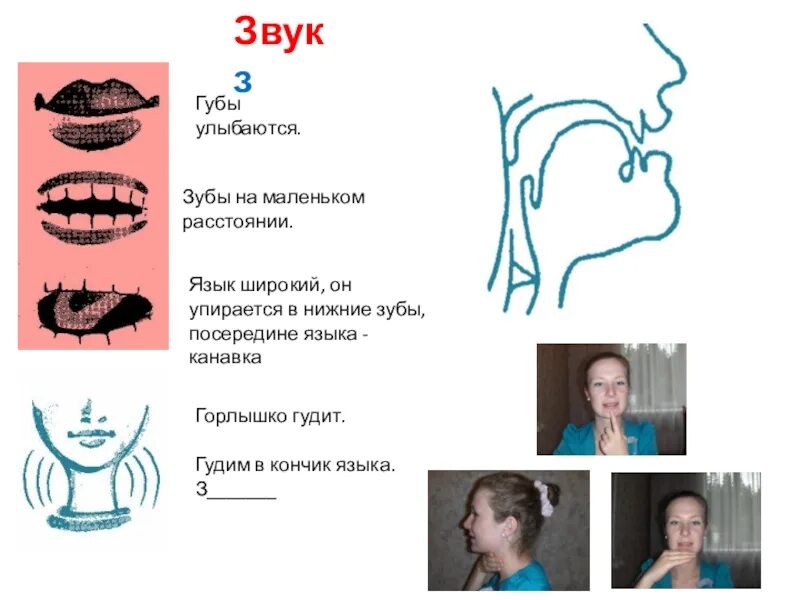 З артикуляция. Артикуляция звука з. Правильная артикуляция звука з. Произношение звука з. Положение языка при звуке з.