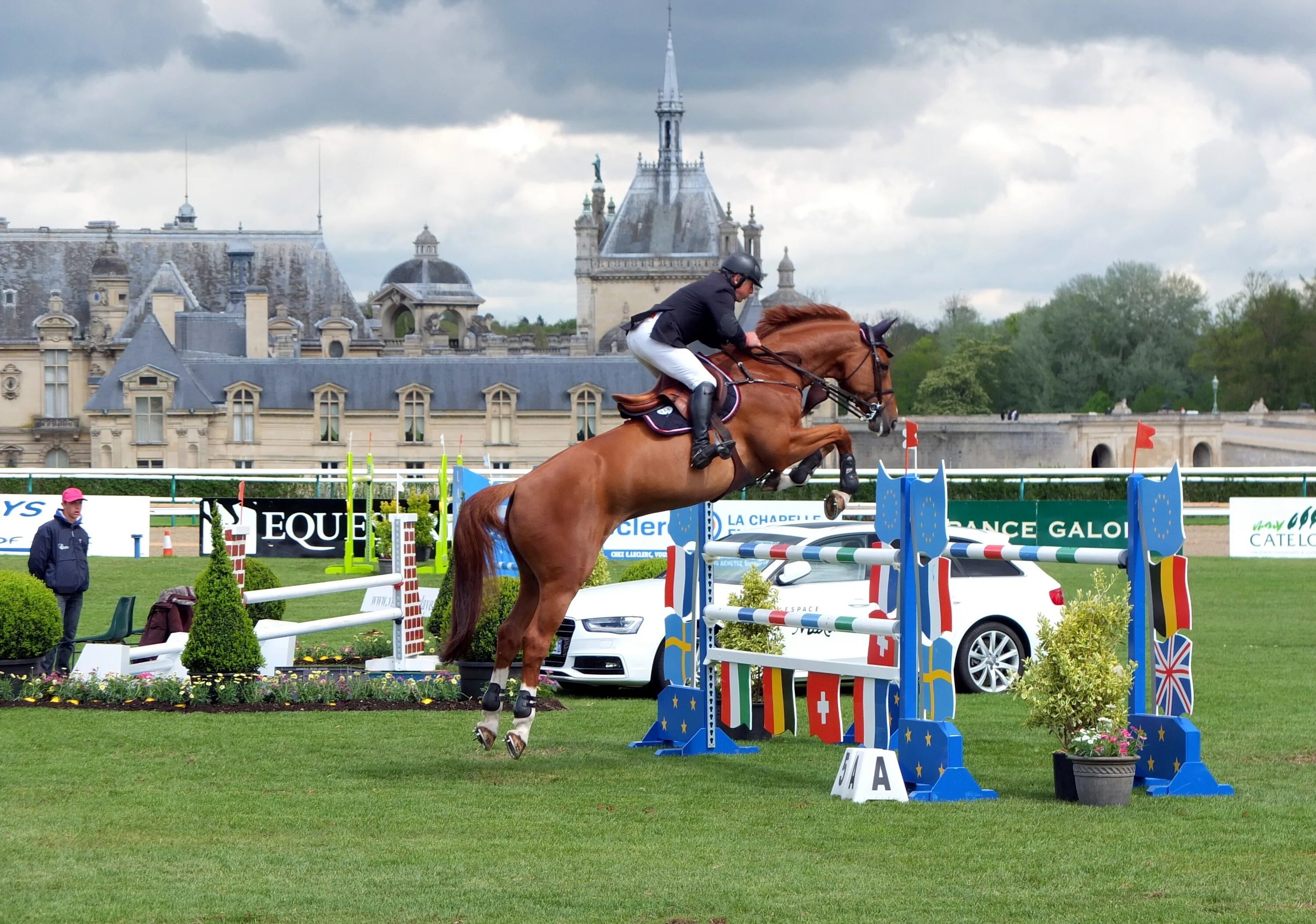 Конный спорт. Спортивные лошади. Конный спорт соревнования. Конкур. Show jumping