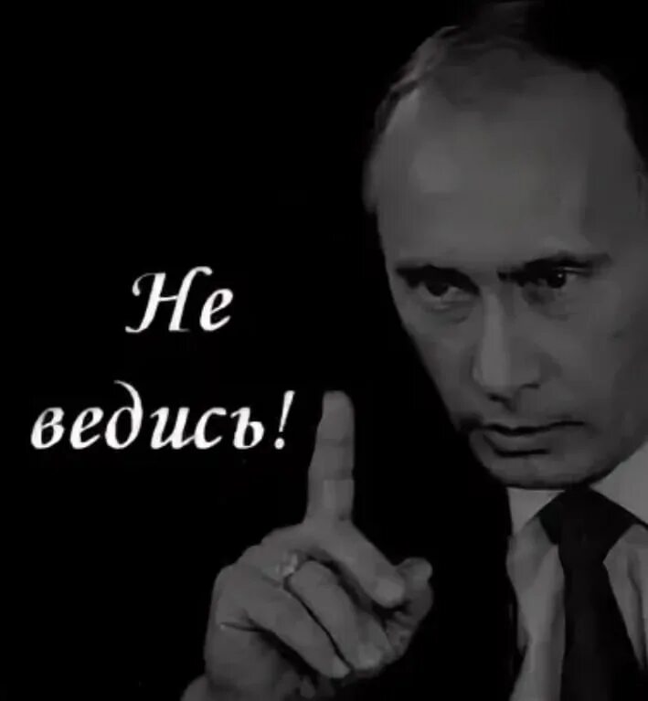 Говорил не ведись на этих дур. Не ведись на провокации. Не ведусь на провокации. Не ведитесь на провокации цитаты. Вестись на провокации.