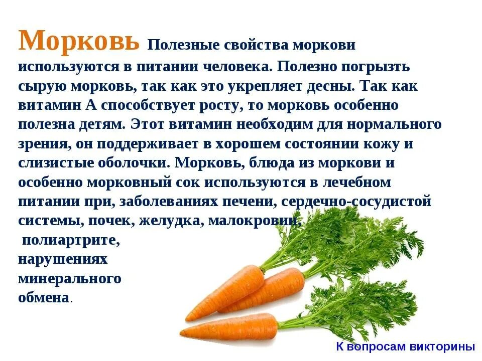 Морковь отварная состав. Чем полезна морковь. Что полезного в моркови. Для чего полезна морковь. Чем полезна морковь для организма.