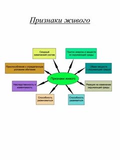 Основным признаком всех живых организмов