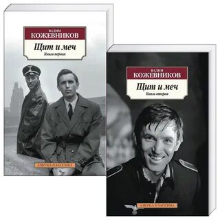 Щит и меч книга