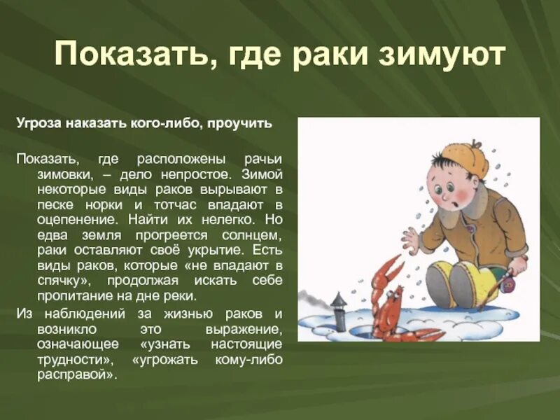 Там раки зимуют. Gde Raki thimyut. Что отображают фразеологизмы. Фразеологизмы про зиму. Фразеологизм показать где.