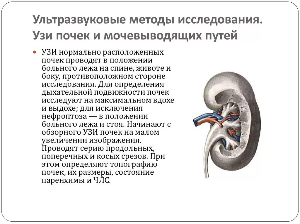 За сколько проходят почки. УЗИ почек диагностическая значимость. Подготовка к УЗИ мочевых путей. УЗИ методы исследования почки. Подготовка пациента к УЗИ мочевыводящих путей.