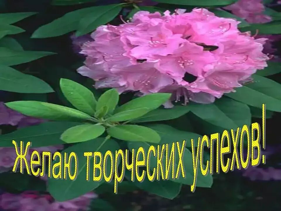 Творческое Вдохновение. Удачи и творческого вдохновения. Удачи в творчестве. Творческого вдохновения пожелание. Желаем в работе вдохновенья