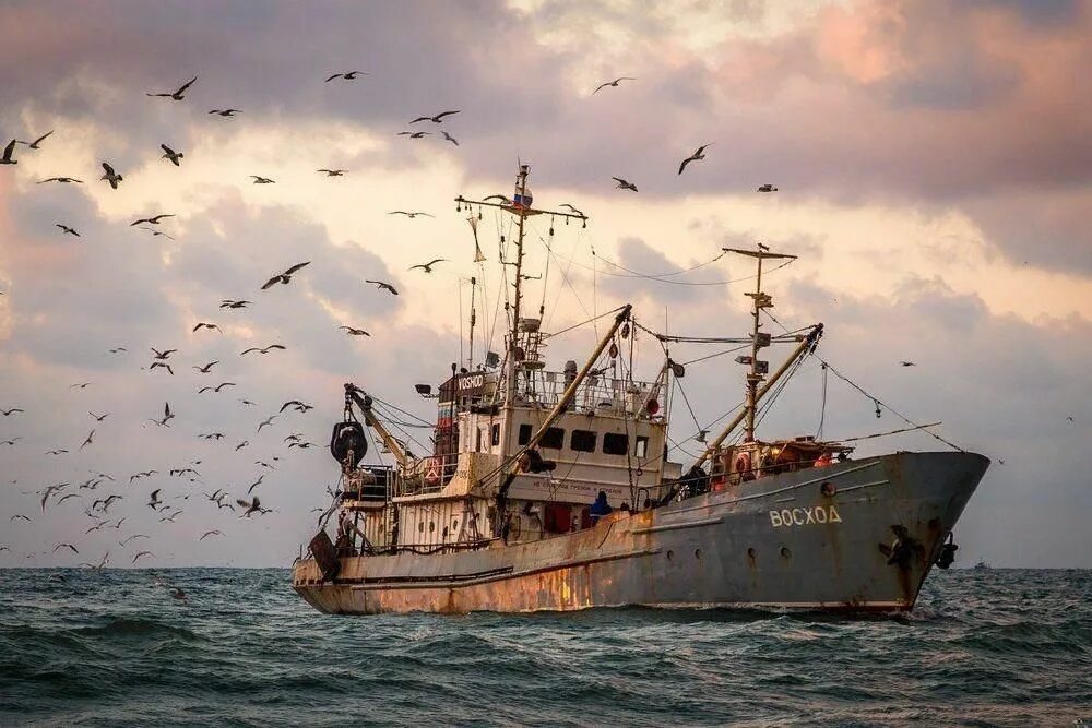 Пароходы черного моря. Рыболовецкое судно в черном море. Рыболовный траулер Рыбак. Рыболовецкий траулер белое море.