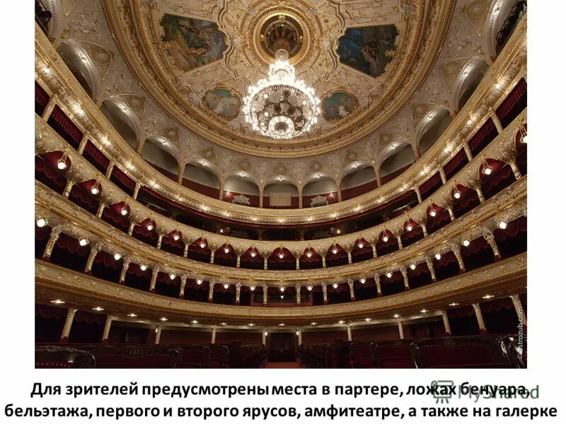 ложе на уровне партера