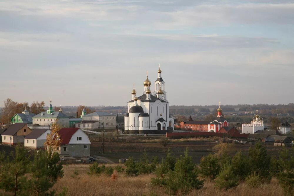 Свято варсонофиевский монастырь мордовия. Варсонофьевский монастырь Мордовия. Монастырь Покров Селищи Мордовия. Храм Покровские Селищи в Мордовии. Свято-Варсонофиевский женский монастырь, село Покровские Селищи.