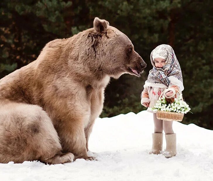 Почему мишка без родителей. Фотосессия с медведем. Девочка и медведь. Медведь и человек.