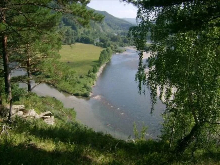 Гисметео чарышское алтайский край. Чарышский район Алтайский край. Чарыш Алтайский край село. Село Маралиха Чарышский район. Горный Чарыш Алтайский край.