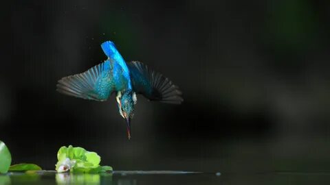 Летающая вода