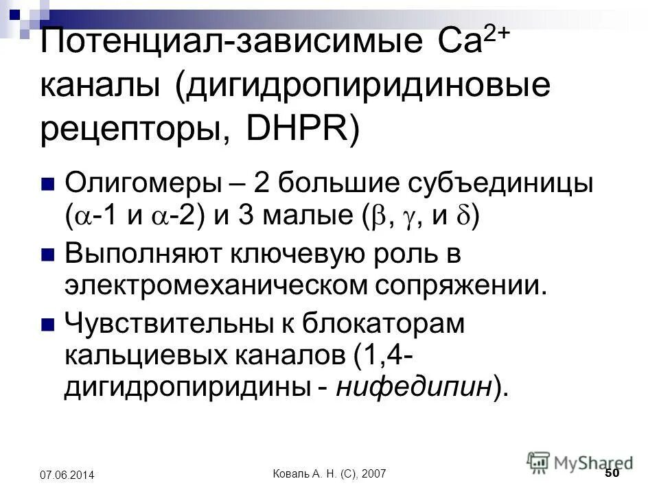 дигидропиридиновый рецептор и рианодиновый. теория мышечного сокращения. дигидропиридиновые рецепторы. дигидропиридиновые рецепторы и рианодиновые. рианодиновые рецепторы сердца.