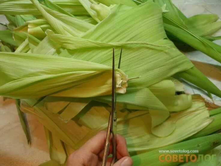 Кукурузные листья купить. Плетение из листьев кукурузы. Лист кукурузы. Плетение из кукурузных листьев. Цветы из кукурузных листьев.