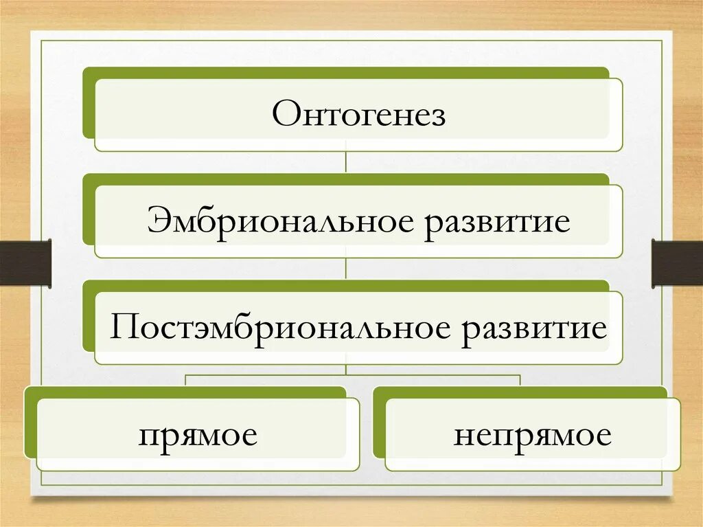 Конспект рост и развитие животных 8 класс. Рост и развитие животных. Рост и развитие животных схема. Стадии развития животных 6 класс. Рост и развитие животных 6 класс таблица.