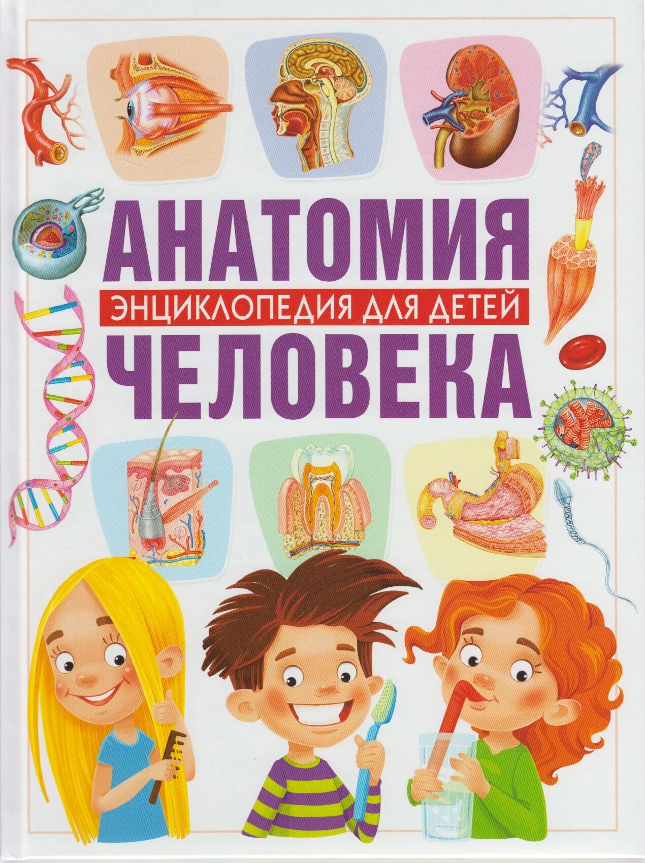Гуиди в. "анатомия человека. Энциклопедия для детей". Владис детская энциклопедия анатомия человека, Гуиди в.. Владис / анатомия человека. Детская иллюстрированная энциклопедия. Энциклопедия дошкольника. Книга энциклопедия человек