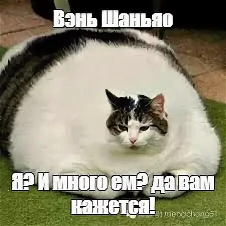 Ем да то