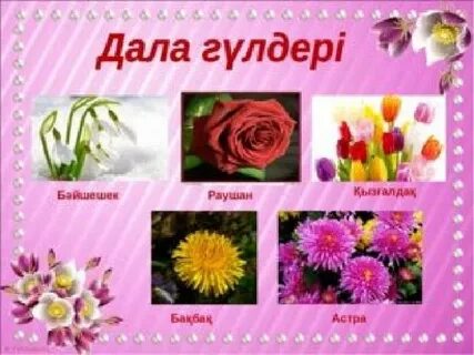 Әйелдер күйеуін ауыстырып, синады