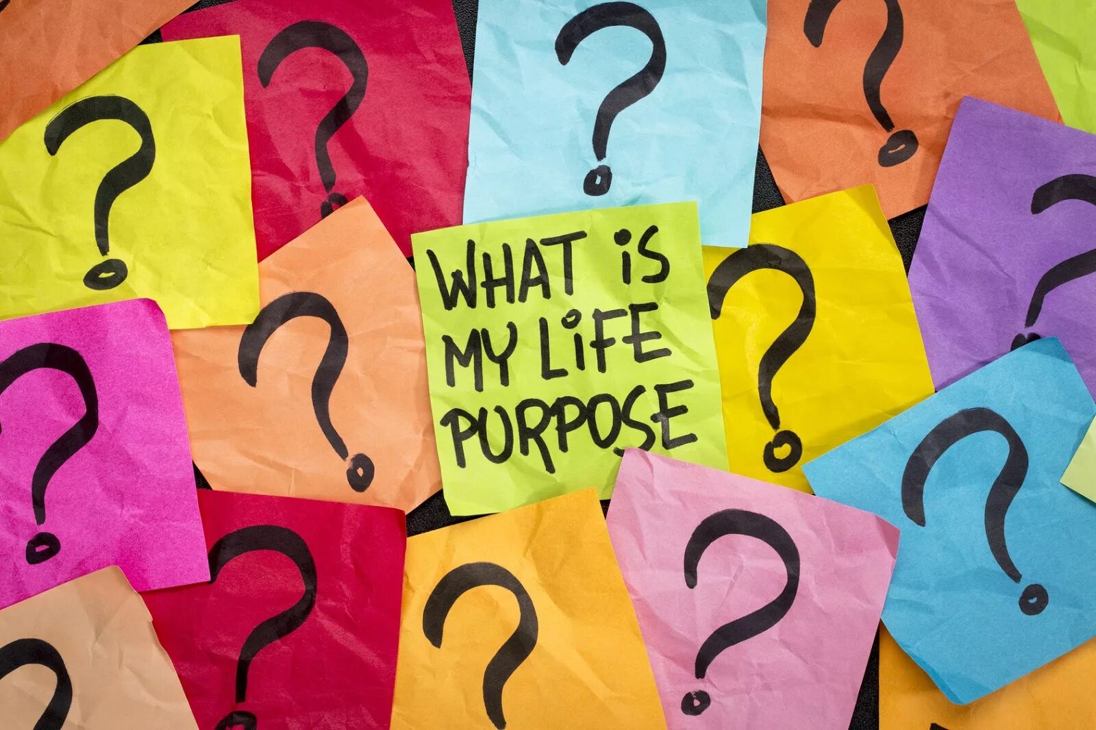 Purpose of life is. Purpose in Life. What is the purpose. What is your purpose. Purpose картинка с надписью.