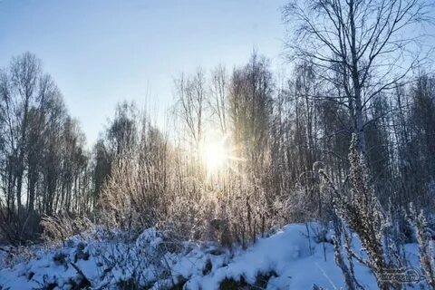 1 февраля свердловская область