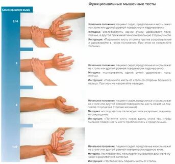 Тест большого пальца