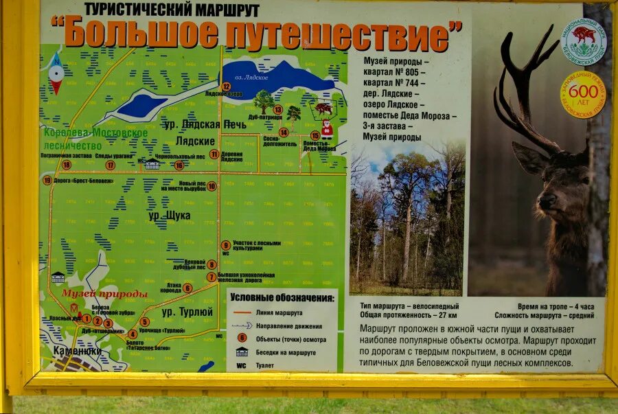 Пуща автобуса. Беловежская пуща карта заповедника. беловежская пуща местоположение. беловежская пуща на карте белоруссии. национальные парки беловежская пуща.