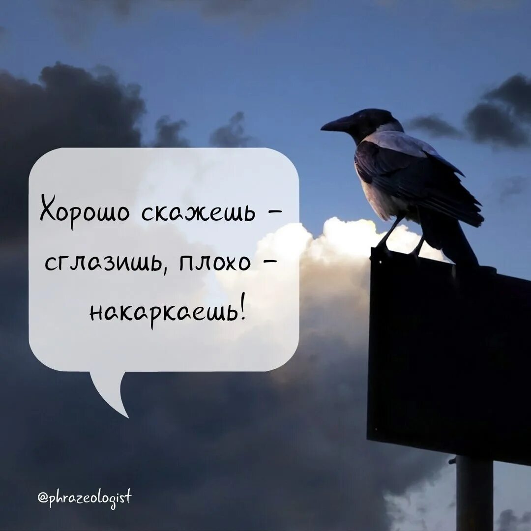 Слушать песню бывшие говорят плохо. Ворона накаркала. Накаркала прикол. Ворона накаркала прикол. Хорошо скажешь сглазишь плохо накаркаешь.