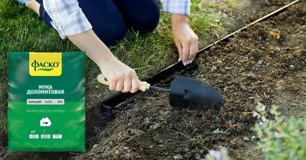 Раскисление почвы. Как раскислить почву на огороде. Внесение удобрений в почву. Известь и мел для почвы. Как раскислить почву на огороде.