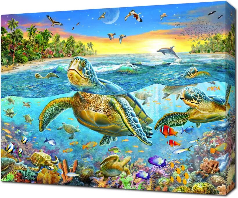 Возможность изображения картинки на экране холста turtle
