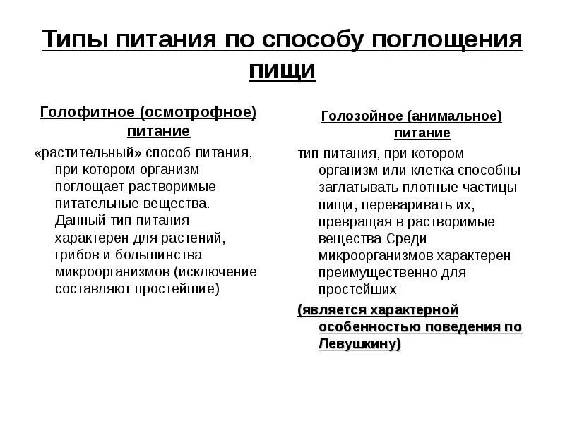 Какой тип питания характерен для большинства представителей