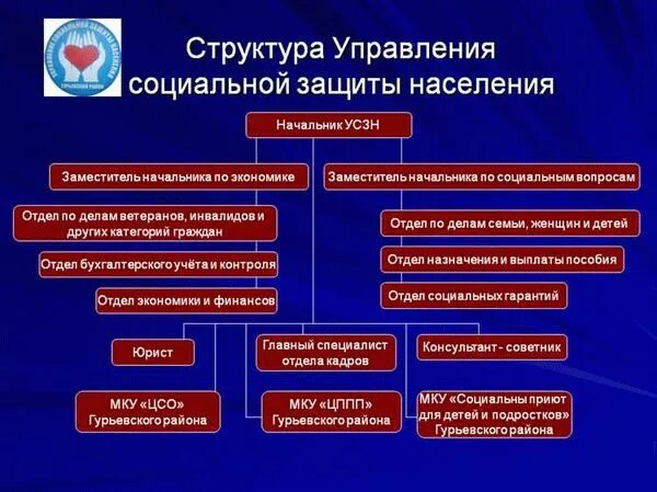 Структура органов социальной защиты населения РФ. Система управления социальной защиты населения схема. Структура отделов управления социальной защиты населения. Структура органов СЗН схема
