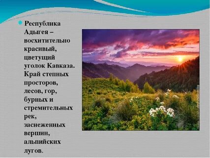 Разнообразие природы окружающий мир 3 класс видеоурок