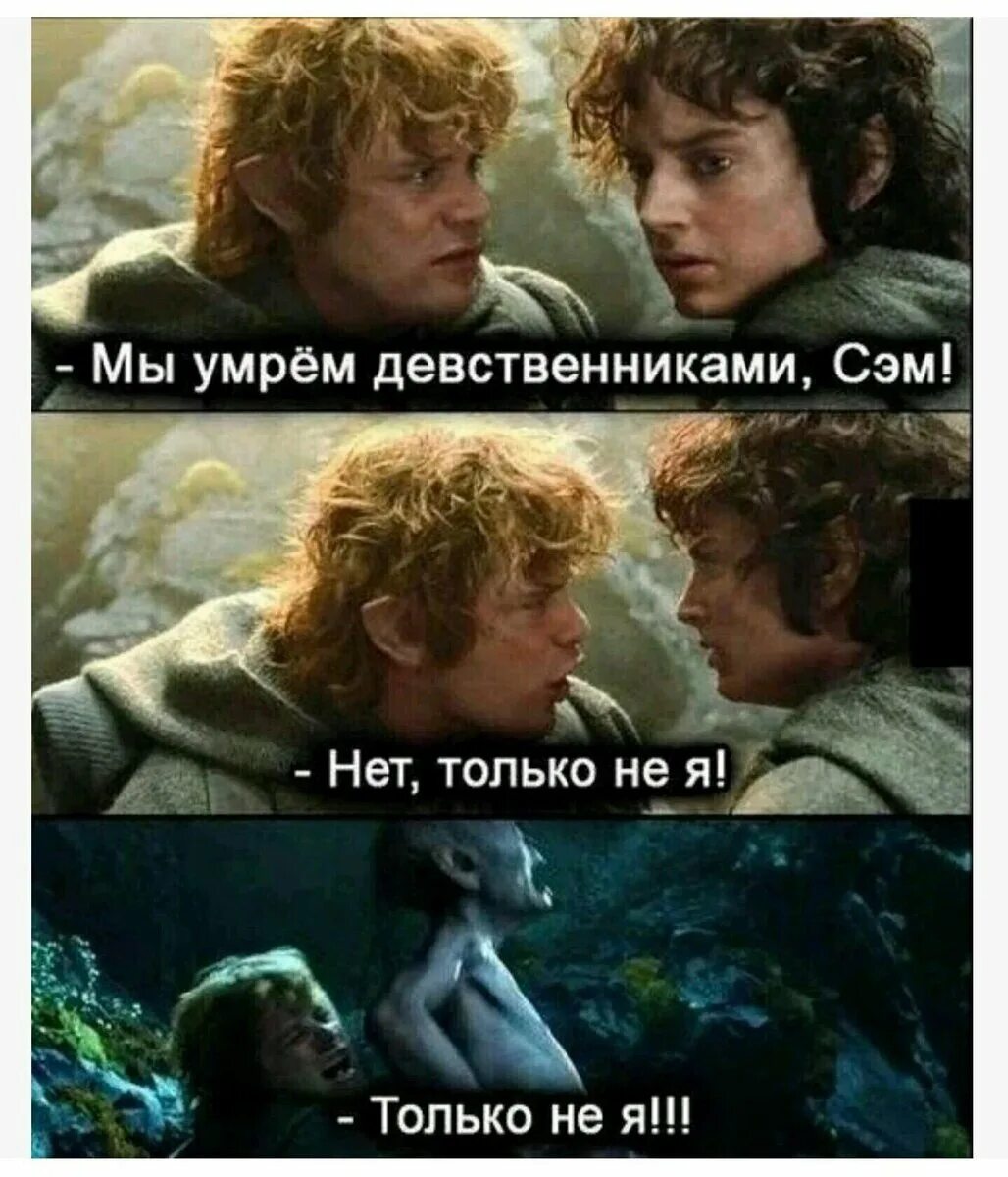 Man will die but not his ideas. Хоббиты Фродо и Сэм. Фродо Бэггинс Властелин колец. Фродо и Сэм из Властелина колец. Хоббит Фродо.